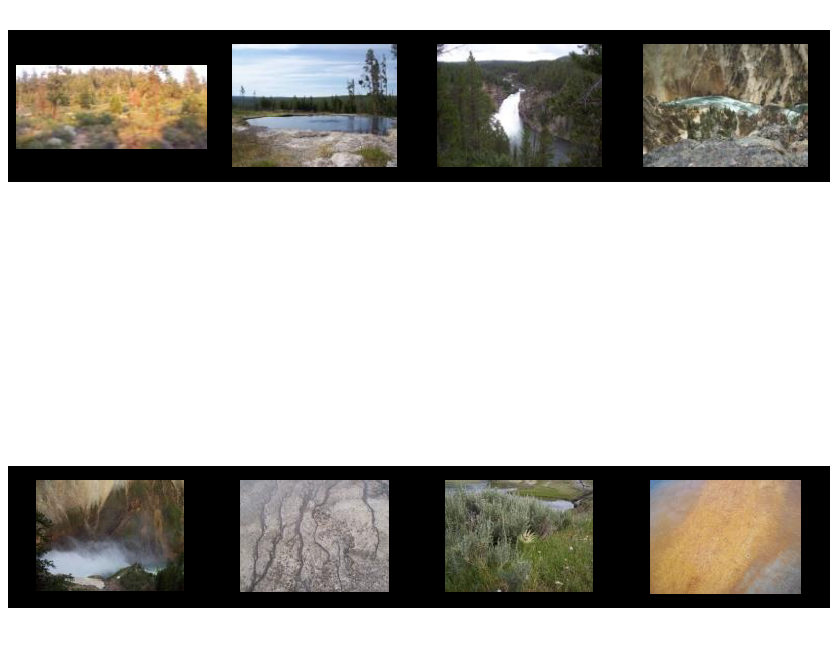 Yellowstone 2014 - 16 jun 16 - b